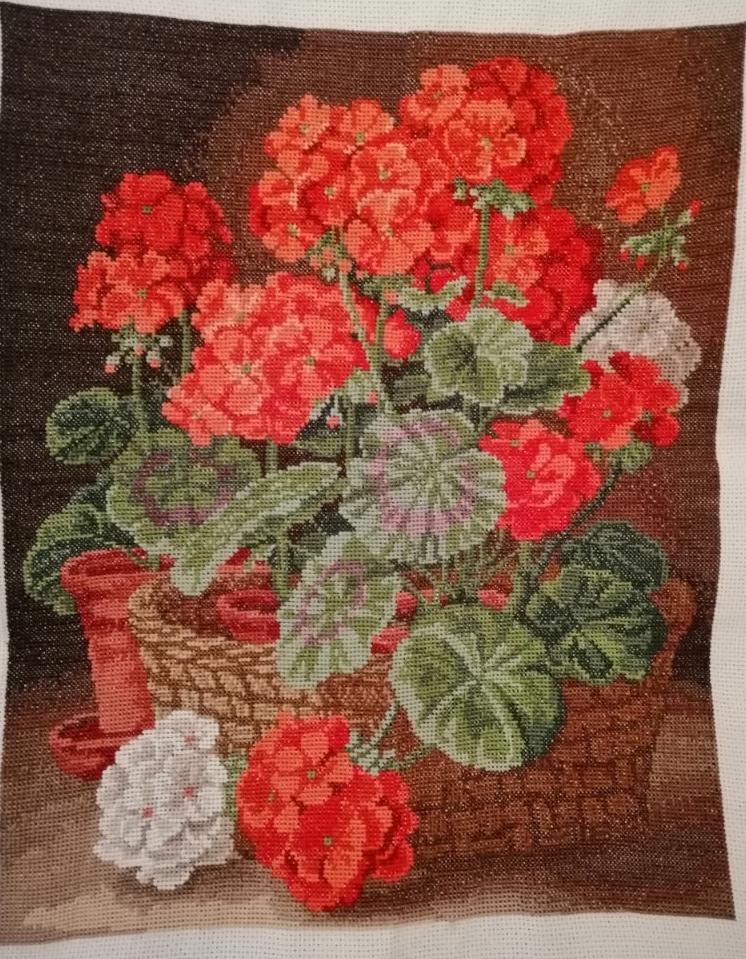 Изображение к отзыву Светлана Андала