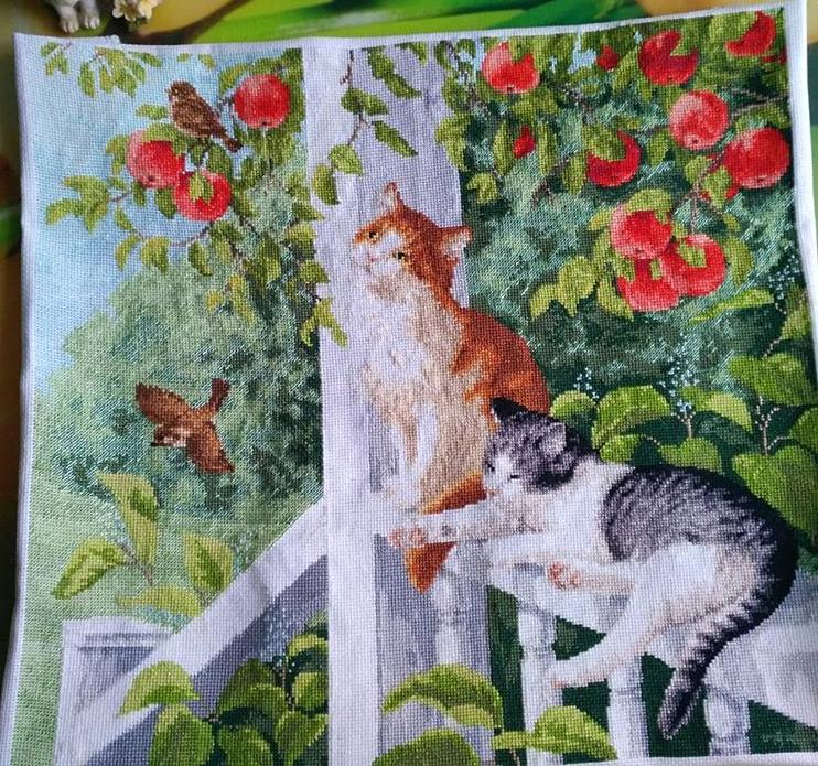 Изображение к отзыву Имка(@imkavolsheva)